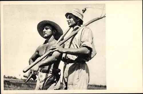 Ak Israel, Chalutzim nach getaner Arbeit