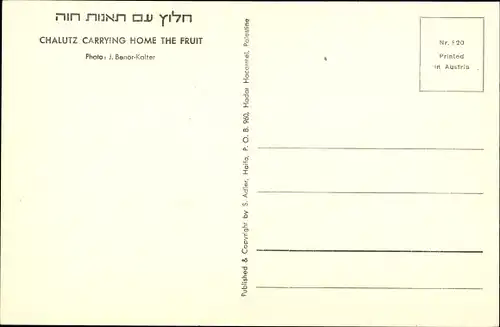 Ak Israel, Halutz, Chalutz trägt die Früchte nach Hause