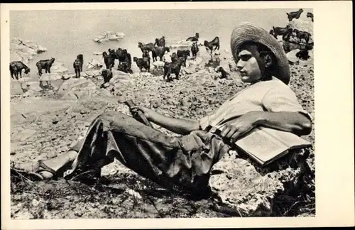 Ak Galiläa Israel, jüdischer Hirte in Galiläa