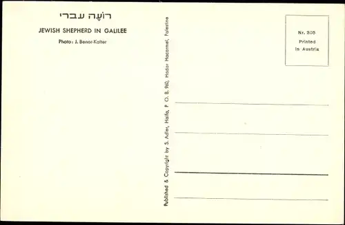 Ak Galiläa Israel, jüdischer Hirte in Galiläa
