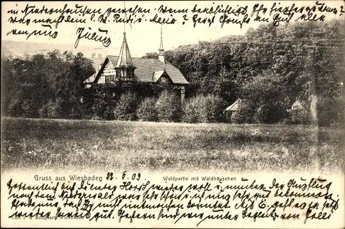 Ak Wiesbaden in Hessen, Waldpartie mit Waldhäuschen