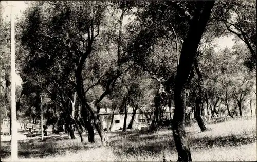 Ak Dassia Korfu Griechenland, Teilansicht