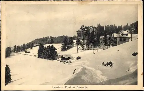Ak Leysin Kanton Waadt, Hotel des Chamois