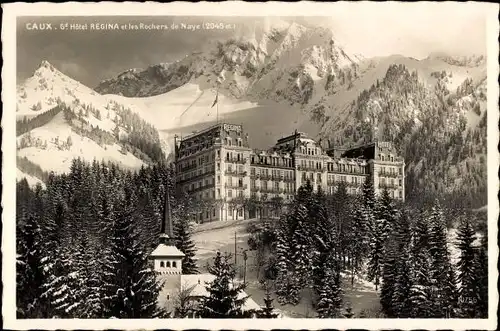 Ak Caux Montreux Kanton Waadt, Grand Hotel Regina