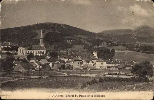 Ak Châtel Saint Denis Kanton Freiburg, Teilansicht, le Moleson