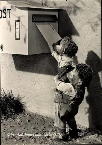 Ak Glückwunsch Geburtstag, Mecki der Igel, Igelkind, Briefkasten