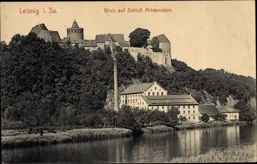 Ak Leisnig in Sachsen, Muldenpartie, Industrieanlage, Schornstein, Schloss Mildenstein