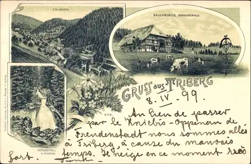 Litho Triberg im Schwarzwald, Gesamtansicht, Wasserfall, Schwarzwälder Bauernhaus, Kühe