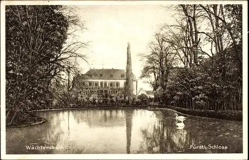 Ak Wächtersbach in Hessen, Fürstliches Schloss, Teich, Schwan