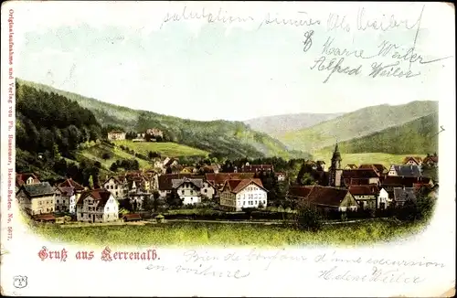 Ak Bad Herrenalb im Schwarzwald, Ortsansicht