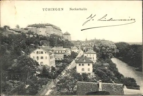 Ak Tübingen am Neckar, Neckarhalde, Teilansicht