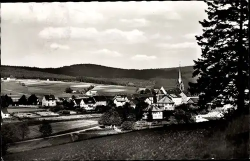 Ak Bischofsgrün im Fichtelgebirge, Panorama