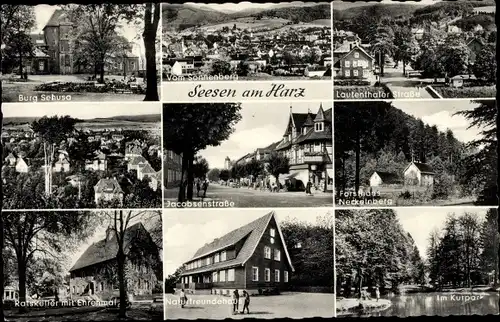 Ak Seesen am Harz, Jacobsebstraße, Kurpark, Lautenthaler Straße, Burg