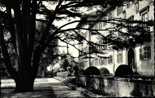 Ak Bad Homburg vor der Höhe Hessen, Zederbaum, Schloss