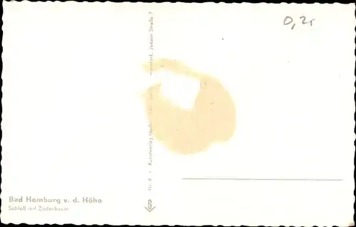 Ak Bad Homburg vor der Höhe Hessen, Zederbaum, Schloss