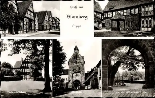 Ak Blomberg in Lippe, Altes Amtshaus, Burghof, 1000 jährige Linde, Niedertor