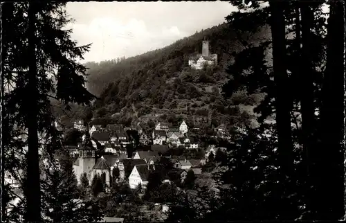 Ak Bad Liebenzell im Schwarzwald, Burg