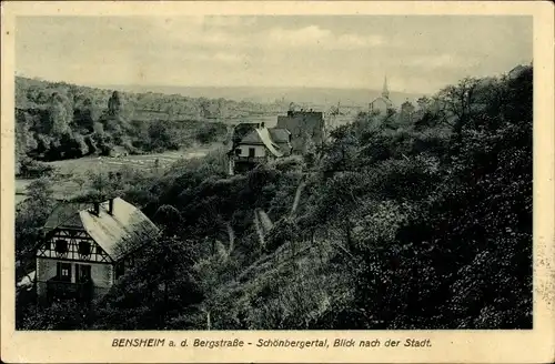 Ak Bensheim an der Bergstraße Hessen, Schönbergertal, Totalansicht