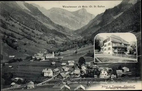 Ak Weisstannen Mels Kt. St. Gallen Schweiz, Hotel und Pension Alpenhof, Panorama