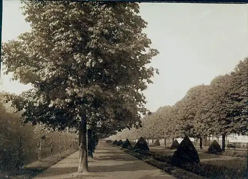 42 alte Fotos Neuss in Nordrhein Westfalen, diverse Ansichten