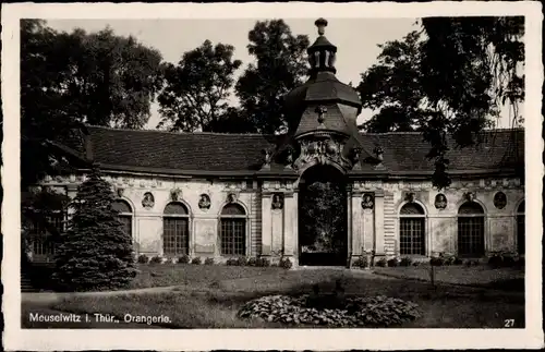 Ak Meuselwitz im Altenburger Land, Orangerie