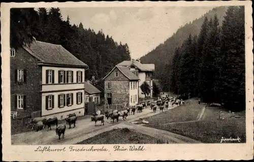 Ak Friedrichroda im Thüringer Wald, Teilansicht, Viehtrieb, Kühe