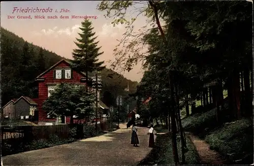 Ak Friedrichroda im Thüringer Wald, Der Grund, Herzogsweg