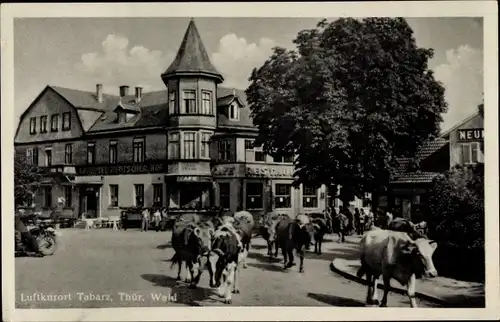 Ak Tabarz im Thüringer Wald, Straßenpartie, Viehtrieb, Hotel Deutscher Hof