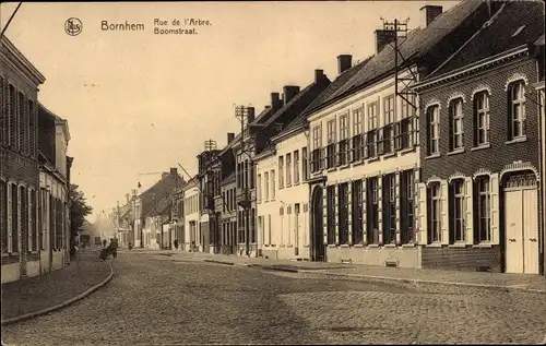 Ak Bornhem Bornem Flandern Antwerpen, Rue de la Arbre