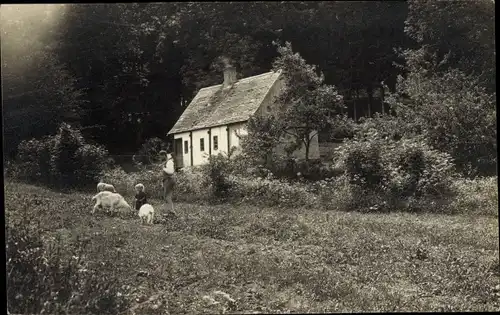 Foto Ak Bornholm Dänemark, Wohnhaus, Wiese, Ziegen