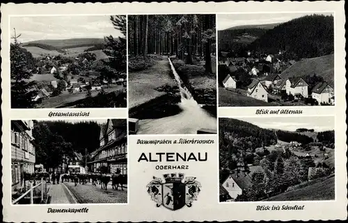 Ak Altenau Clausthal Zellerfeld im Oberharz, Gesamtansicht, Dammgraben am Silberbrunnen, Schultal
