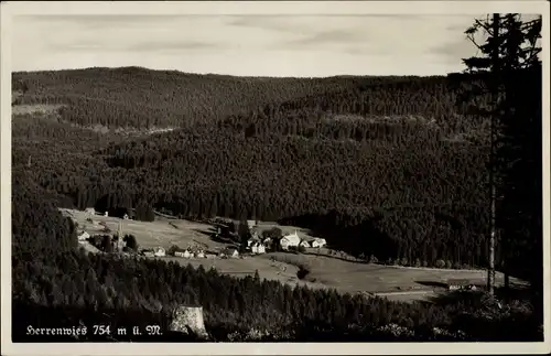 Ak Herrenwies Forbach im Schwarzwald Baden, Panorama