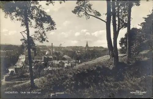 Ak Halmstad Schweden, Totalansicht