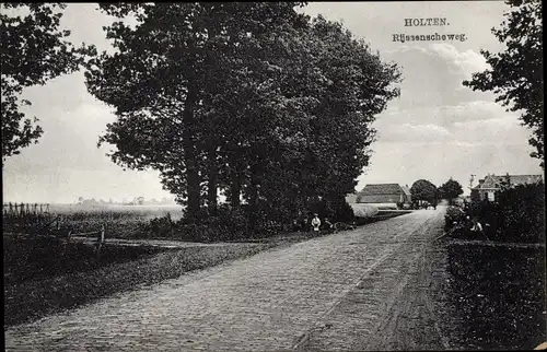 Ak Holten Overijssel Niederlande, Rijssenscheweg