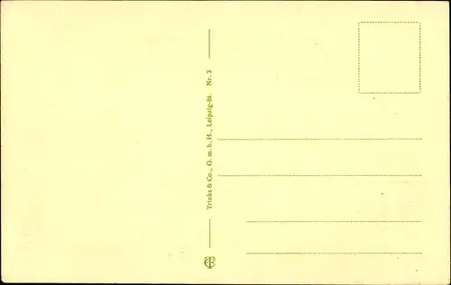 Passepartout Ak Neustadt an der Haardt Neustadt an der Weinstraße, Totalansicht, Fahnen