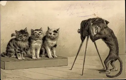 Präge Litho Schimpanse fotografiert Katzen, vermenschlichte Tiere, Fotoapparat