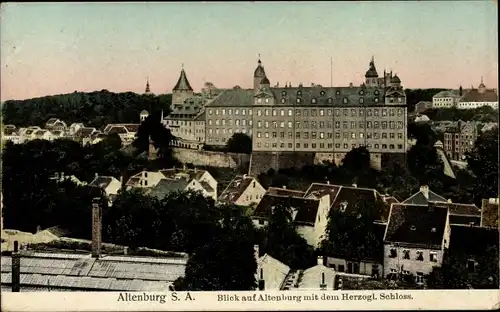 Ak Altenburg  in Thüringen, Teilansicht, Herzogliches Schloss