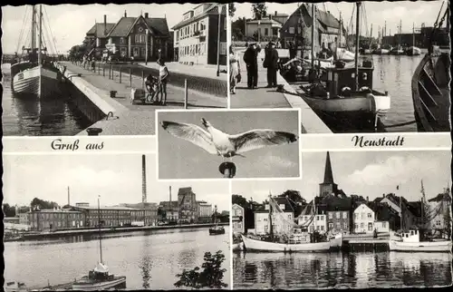 Ak Neustadt in Holstein, Am Binnenwasser, Hafen, Möwe, Teilansicht