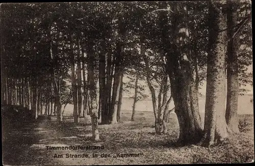 Ak Ostseebad Timmendorfer Strand, Strand in der Kammer