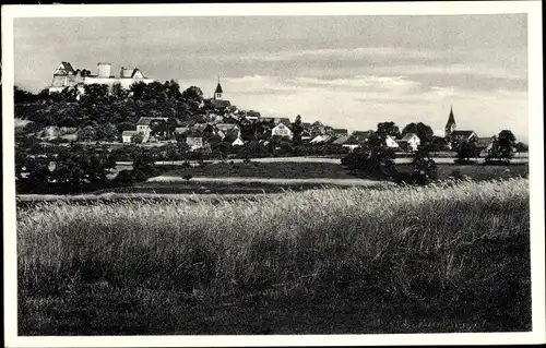 Ak Otzberg im Odenwald, Burg und Hering