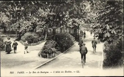 Ak Paris 16. Jahrhundert, Bois de Boulogne, Allee des Erables