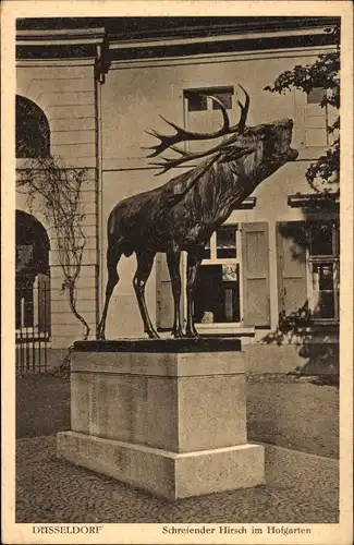 Ak Düsseldorf am Rhein, Schreiender Hirsch, Hofgarten