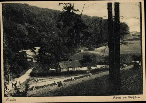 Ak Bad Arolsen in Hessen, am Fischhaus, Wald