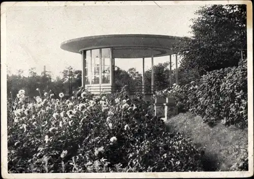 Ak Zwickau in Sachsen, Musiktempel