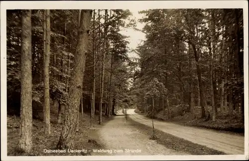 Ak Ostseebad Ückeritz auf Usedom, Waldweg zum Strand