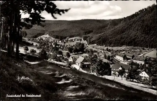 Ak Friedrichsthal Baiersbronn im Schwarzwald, Gesamtansicht