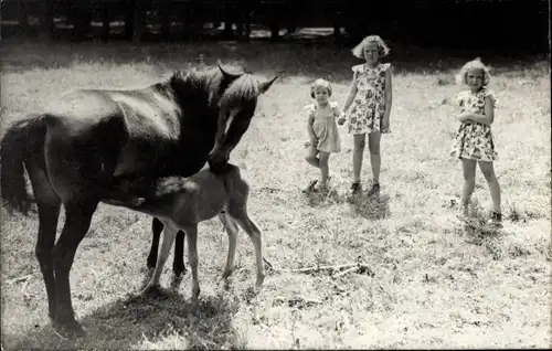 Foto Ak Prinzessin Beatrix der Niederlande mit Schwestern, Pferd, Fohlen, 1946