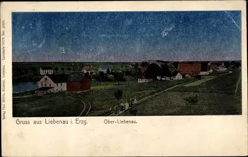 Luna Ak Liebenau Altenberg im Erzgebirge, Teilansicht