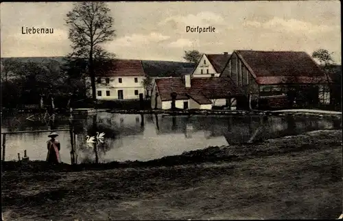 Ak Liebenau Altenberg im Erzgebirge, Dorfpartie