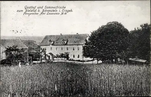Ak Bärenstein Altenberg im Erzgebirge, Gatshof zum Bielatal, Feld